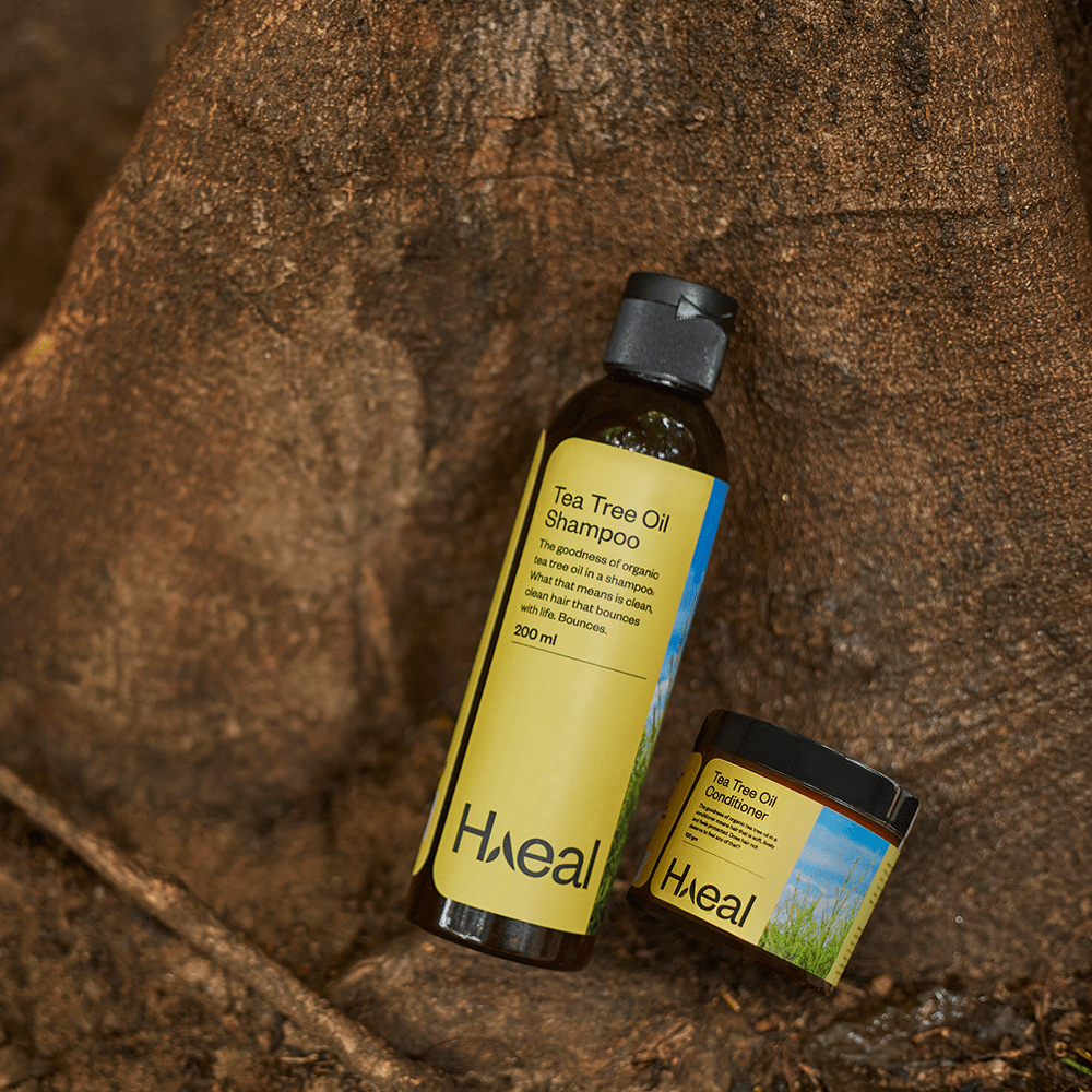 HAEAL Mystical Tea Tree Oil Shampoo + Conditioner for Anti-inflammatory Effect